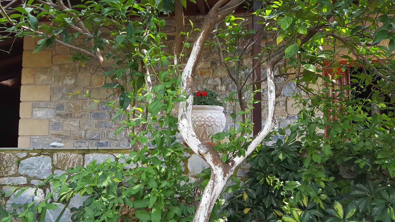 Villa Onar A Stone House With Amazing View Ступа Екстериор снимка